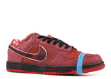 Nike Dunk SB Low Red Lobster 2