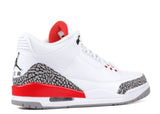 Jordan 3 Retro Hall of Fame Alternative View 2
