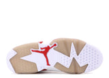 Jordan 6 Retro Alternate Hare