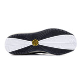 Lebron 7 University of Akron Sample