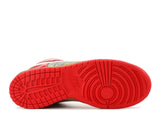 Nike Dunk SB High Shoe Goo