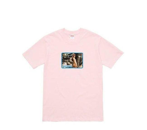 Supreme Larry Clark Girl Tee Pale Pink