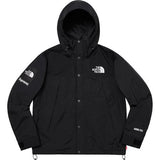 Supreme/The North Face Arc Logo Mountain Parka Black