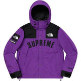 Supreme/The North Face Arc Logo Mountain Parka Purple