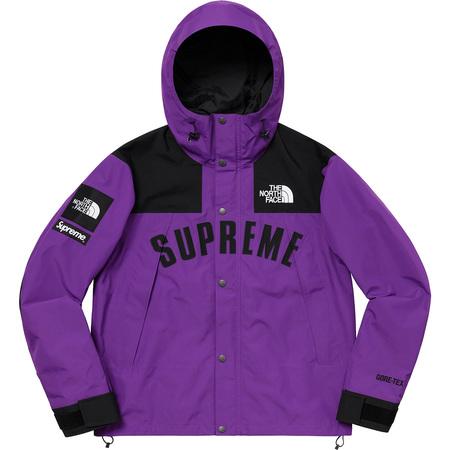 Supreme/The North Face Arc Logo Mountain Parka Purple