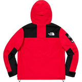 Supreme/The North Face Arc Logo Mountain Parka Red