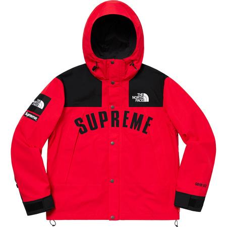 Supreme/The North Face Arc Logo Mountain Parka Red