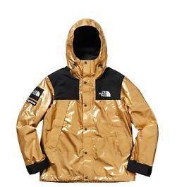 Supreme The North Face Metallic Mountain Parka Gold