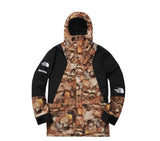 Supreme The North Face Mountain Light Jacket Leaves