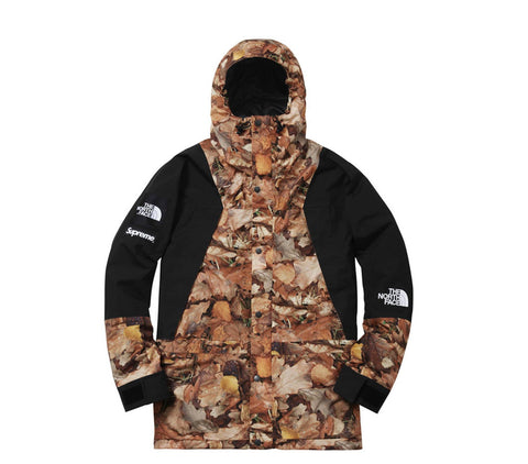 Supreme The North Face Mountain Light Jacket Leaves